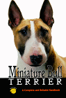 Miniature Bull Terrier by BJ Andrews